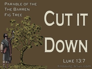 Luke 13:7
